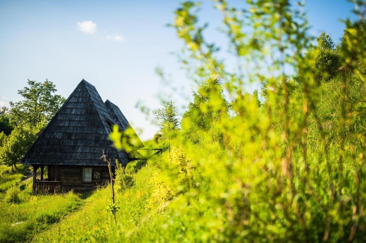 Raven'S Nest - The Hidden Village, Transylvania - Romania Sub Piatra 외부 사진